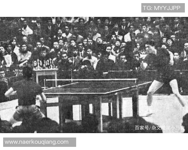 深入分析北京乒乓球队进攻战术与技术特点的专业解读