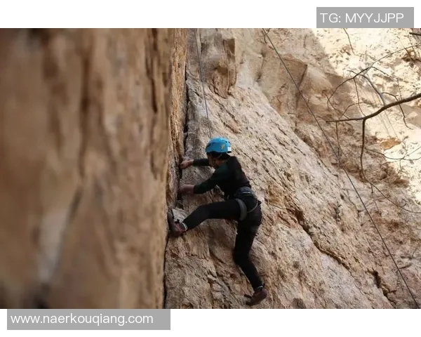 北京攀岩队耐力表现数据分析与训练效果探讨