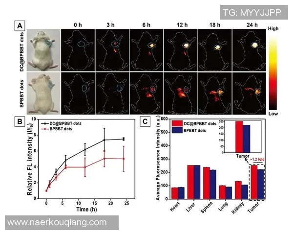 深圳篮球队团队协作的成功秘诀与战术分析探讨 深圳篮球队团队协作的成功秘诀与战术分析探讨