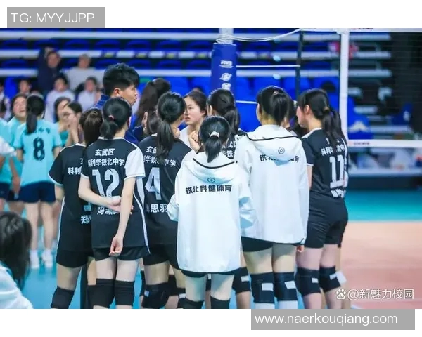 南京排球队在排球节奏排名中创下历史新高引发广泛关注与热议